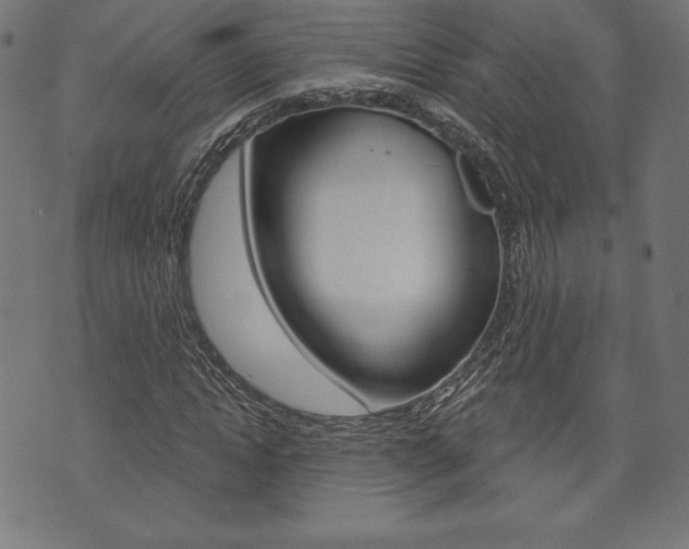 X0000073970822200608210941