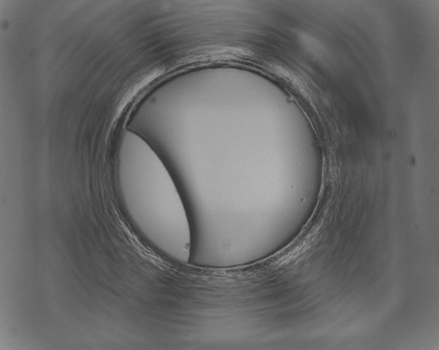X0000073970827200608210941