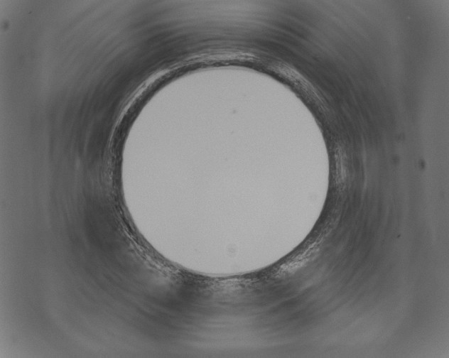 X0000073970828200608210941