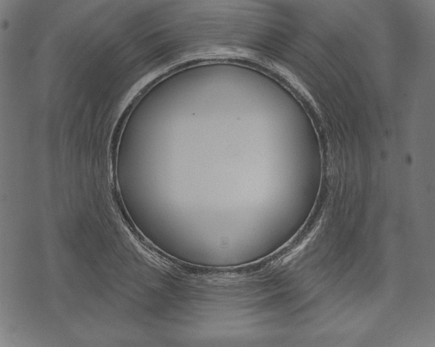 X0000073970837200608210941