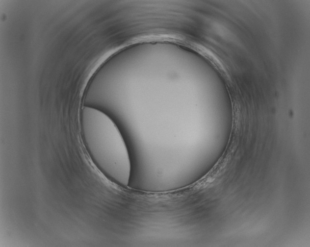 X0000073970852200608210941