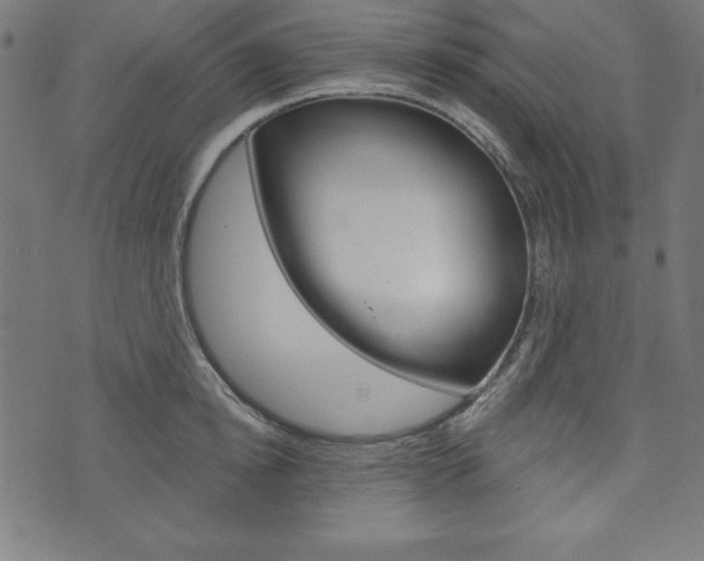 X0000073970854200608210942
