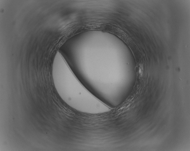 X0000073970867200608210941