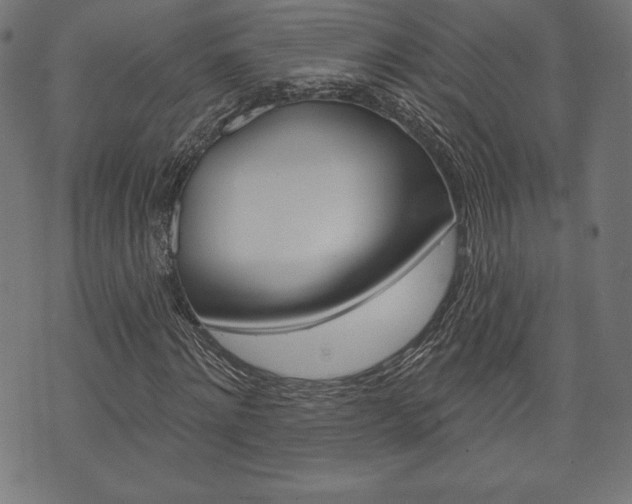X0000073970868200608210941