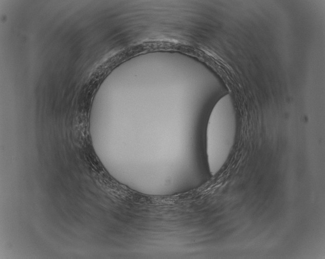 X0000073970870200608210941