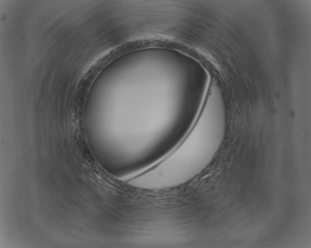 X0000073970872200608210941