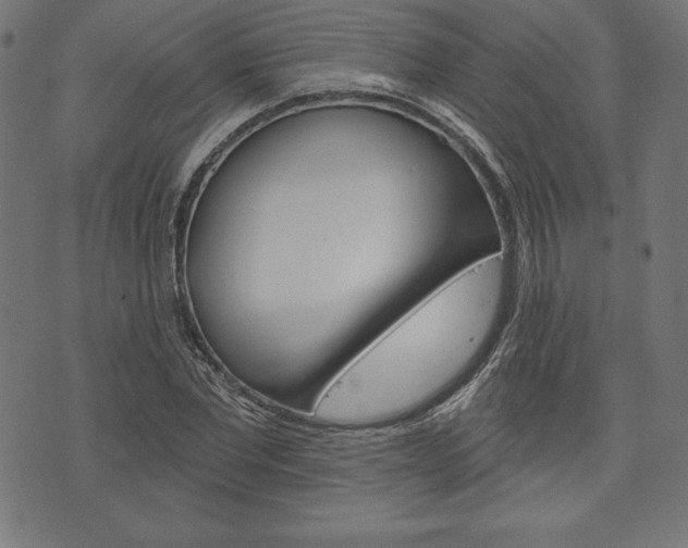 X0000073970877200608210941