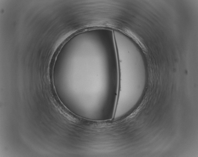 X0000073970884200608210941