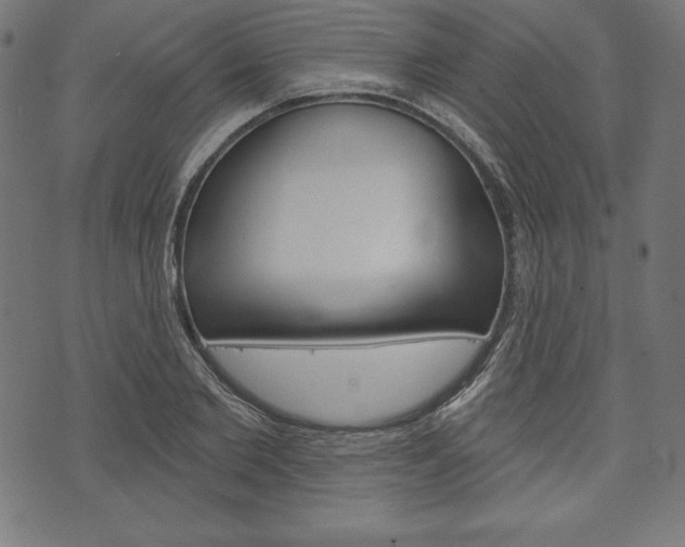 X0000073970885200608210941