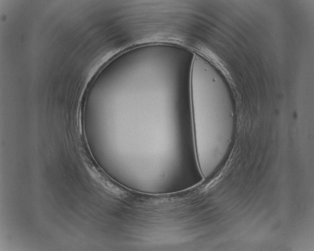 X0000073970892200608210940