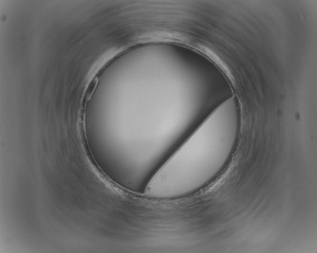 X0000073970901200608210940