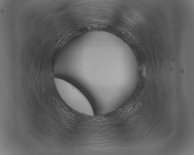 X0000073970915200608210939