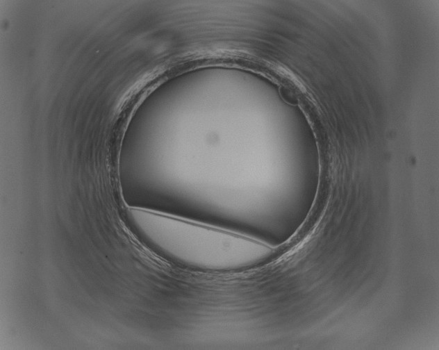 X0000073970922200608210940