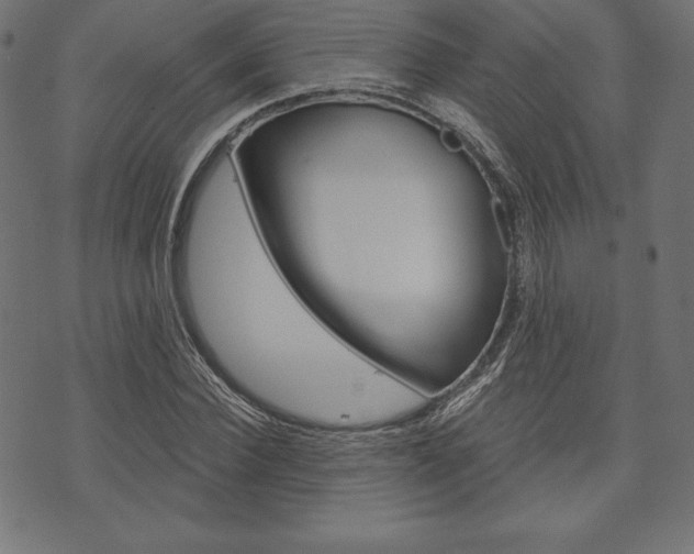 X0000073970924200608210940