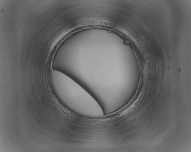 X0000073970925200608210940