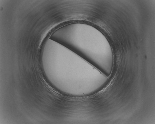 X0000073970926200608210940