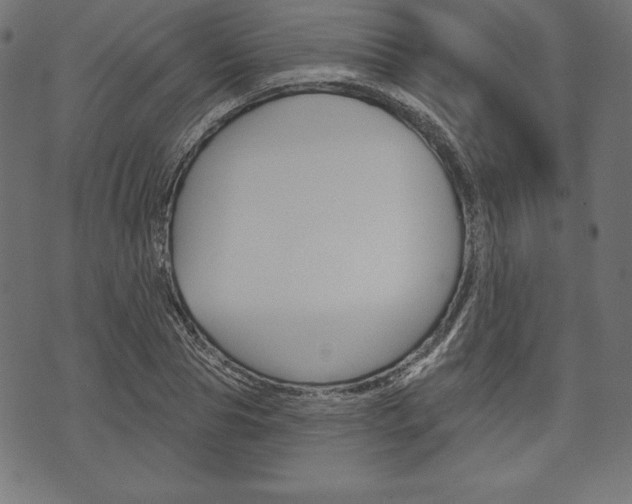 X0000073970929200608210940