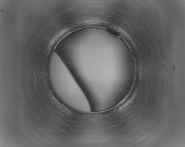 X0000073970930200608210940