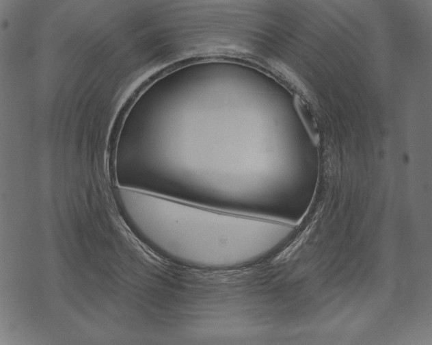 X0000073970932200608210940