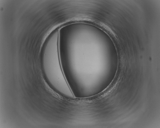 X0000073970934200608210940