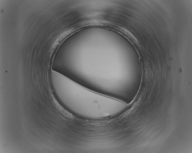 X0000073970938200608210940