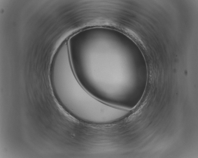 X0000073970942200608210940
