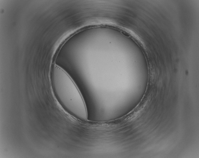 X0000073970943200608210940