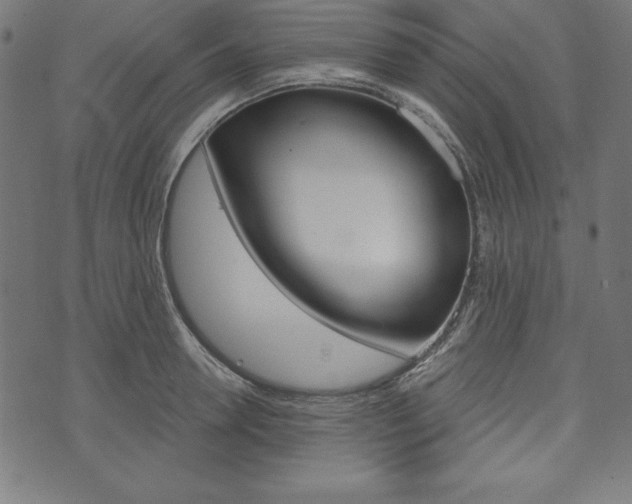 X0000073970946200608210940