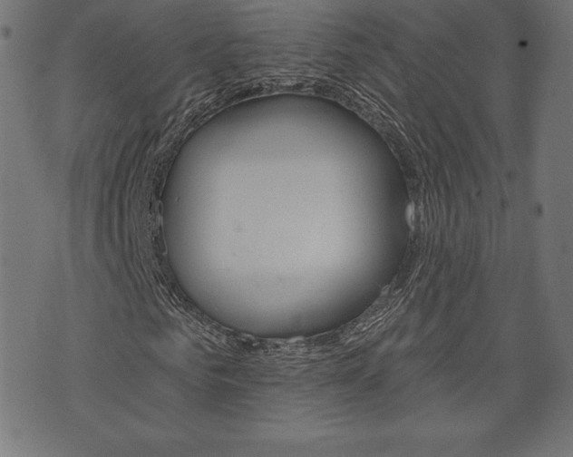 X0000073970961200608210939