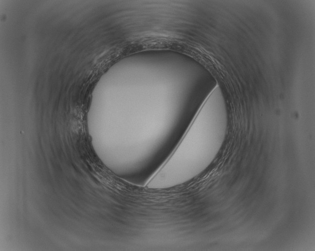 X0000073970964200608210939