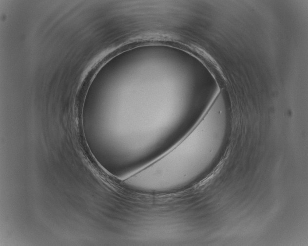 X0000073970981200608210939
