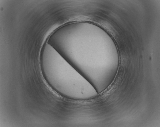 X0000073970990200608210939
