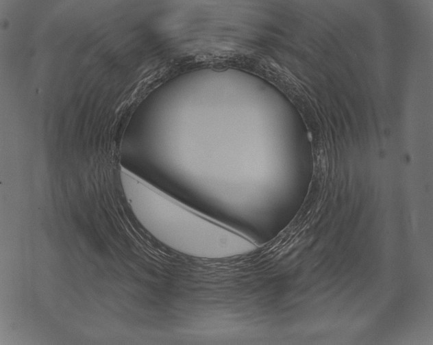 X0000073971012200608210938