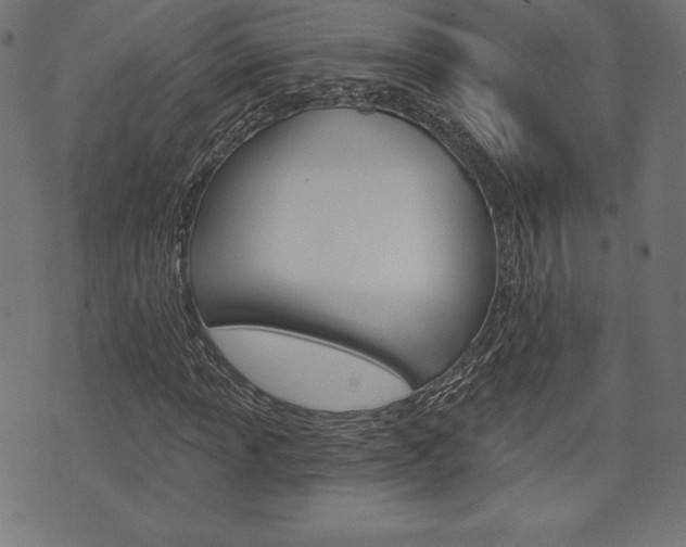 X0000073971013200608210938