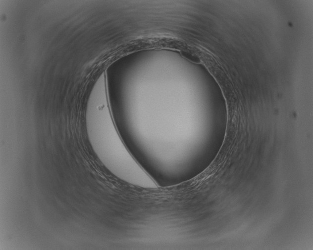 X0000073971014200608210938