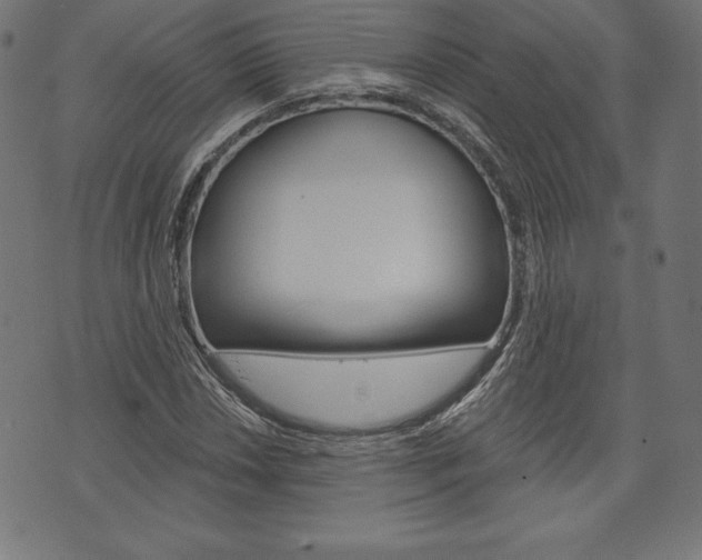 X0000073971018200608210938