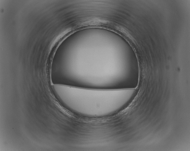 X0000073971026200608210938