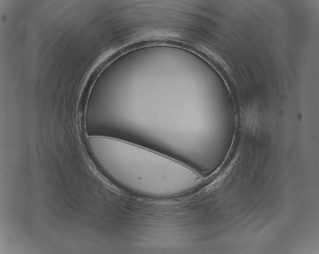 X0000073971029200608210938