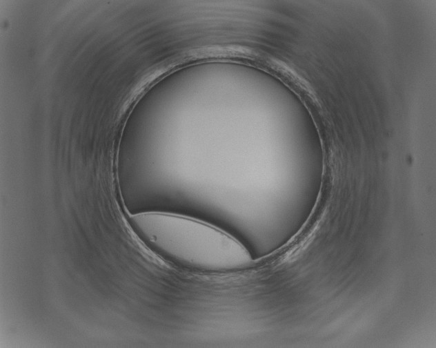 X0000073971033200608210938