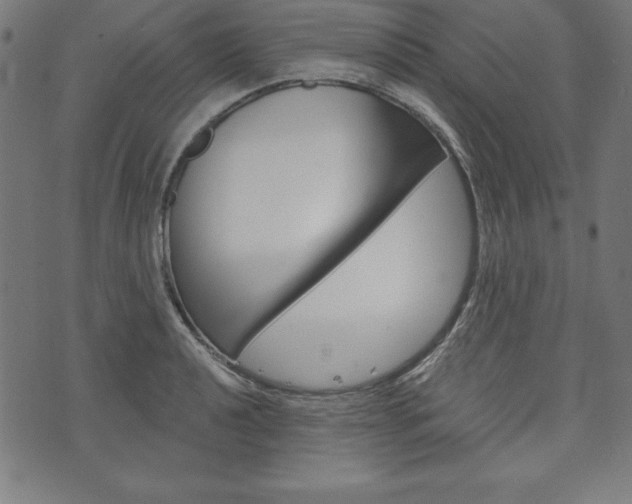 X0000073971040200608210938