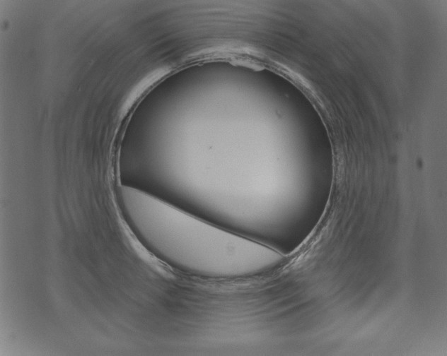 X0000073971042200608210938