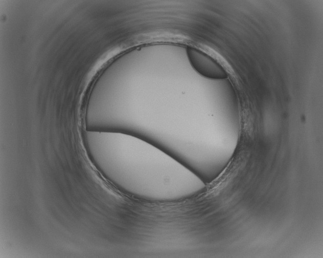 X0000073971043200608210938