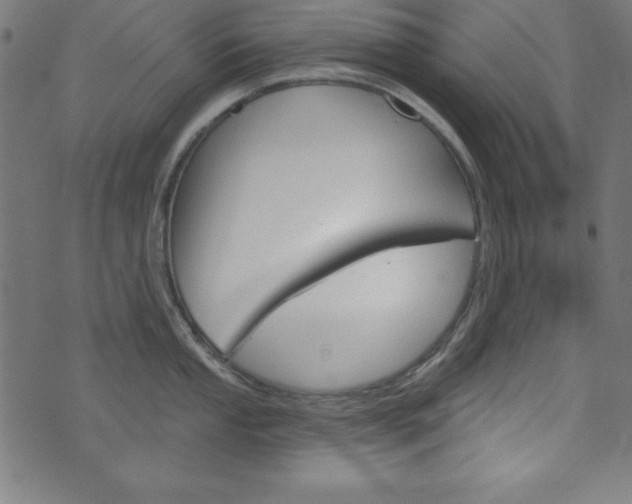 X0000073971053200608210939