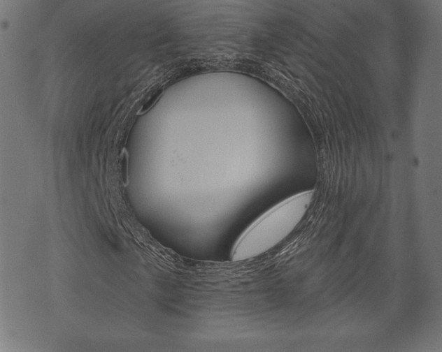 X0000073971057200608210938