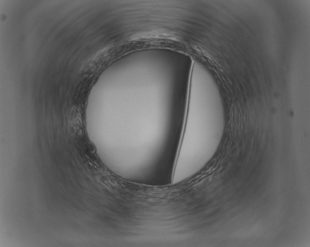 X0000073971062200608210938