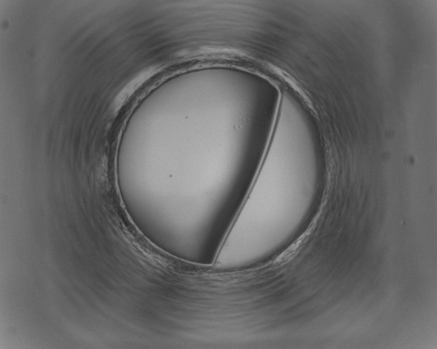 X0000073971066200608210938