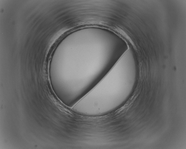X0000073971068200608210938