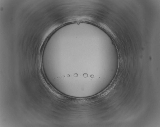X0000073971079200608210937
