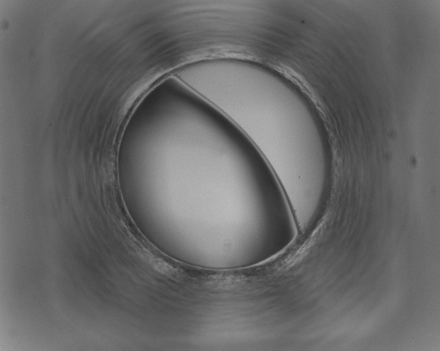 X0000073971081200608210937