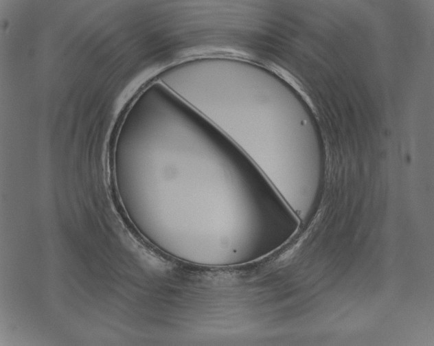 X0000073971082200608210937